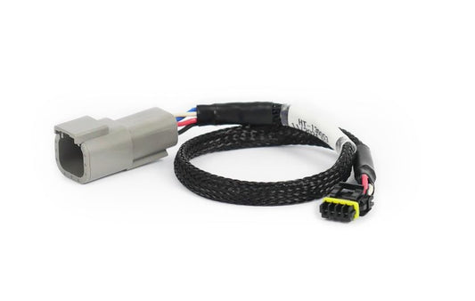 CAN Adaptor Loom DTM-4 to Molex Mizu-P25 - Suits Holley - HT-130053