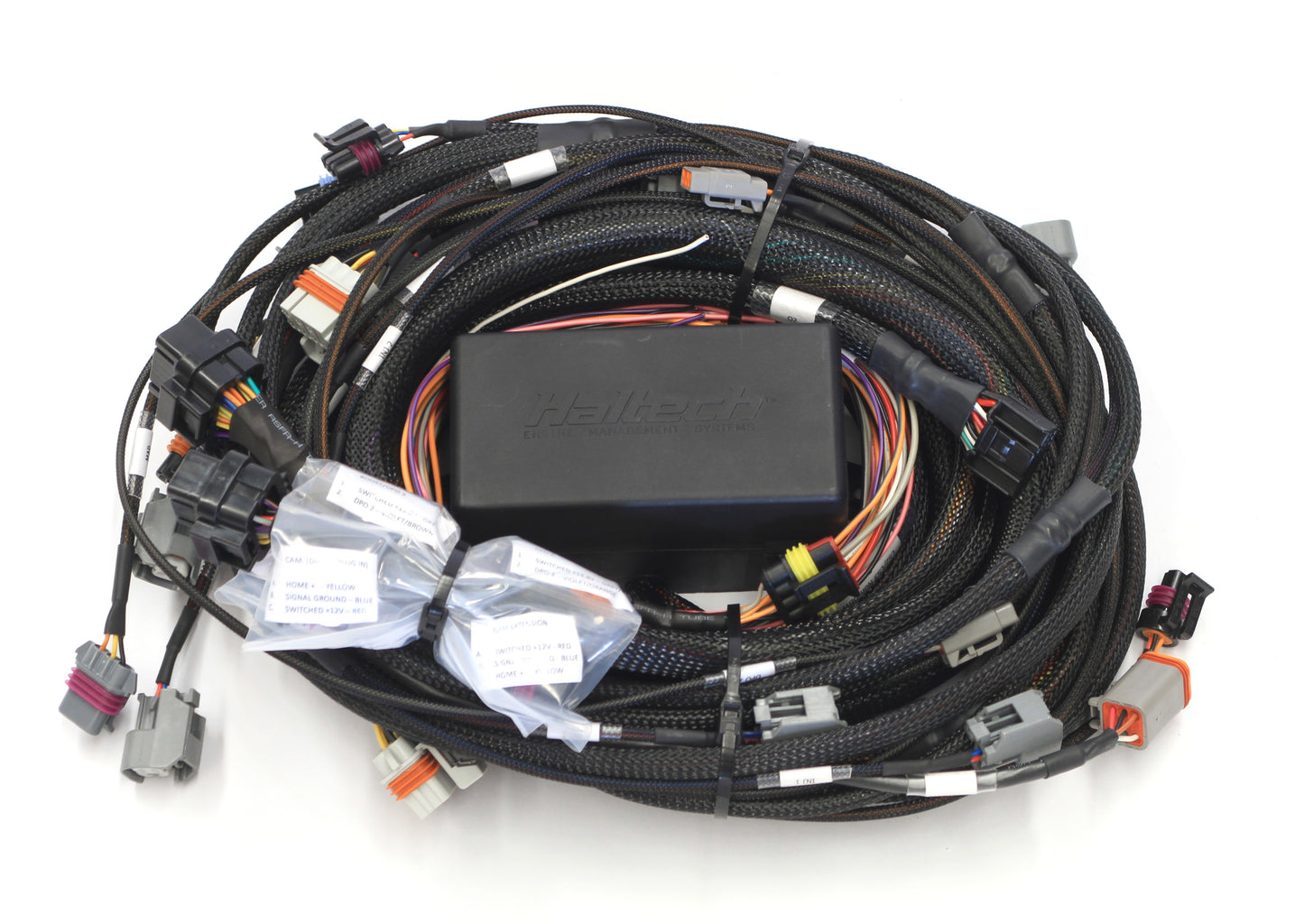 Elite 2500 GM GEN III LS1 & LS6 (DBW Retrofit Ready) Terminated Harness (EV1) - HT-141362