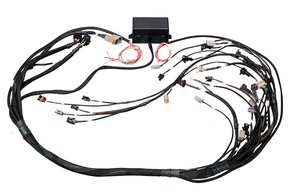 Elite 2000/2500 GM GEN IV LSx (LS2/LS3 etc) non DBW Terminated Harness (EV6) - HT-141365