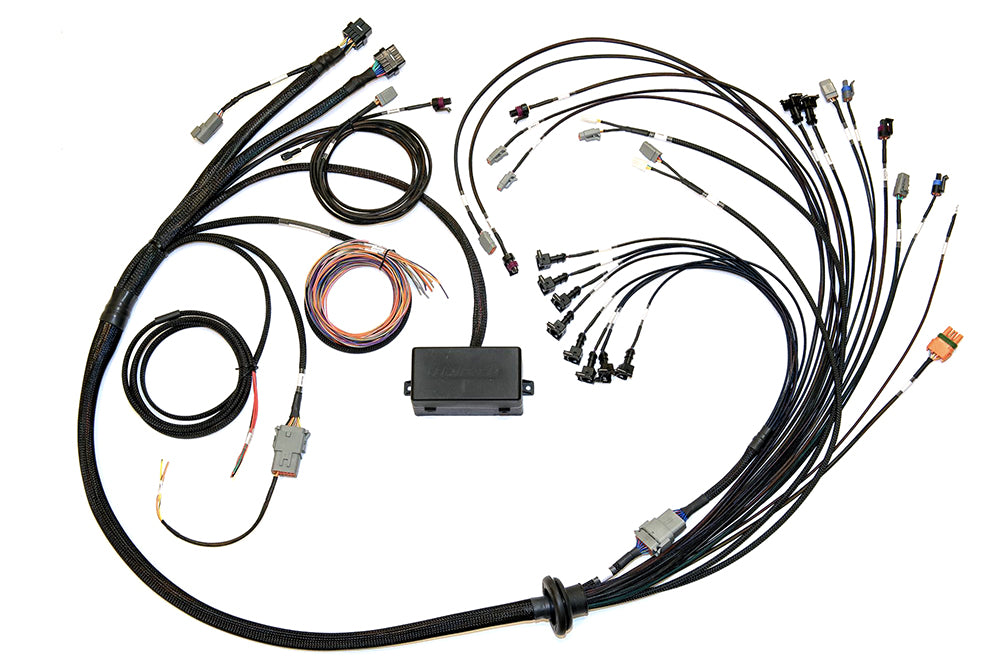 Elite 2500 V8 Small/Big Block GM, Ford & Chrysler Terminated Harness - HT-141376