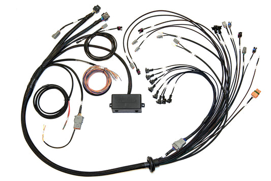 Elite 2500 V8 Small/Big Block GM, Ford & Chrysler Terminated Harness - HT-141376