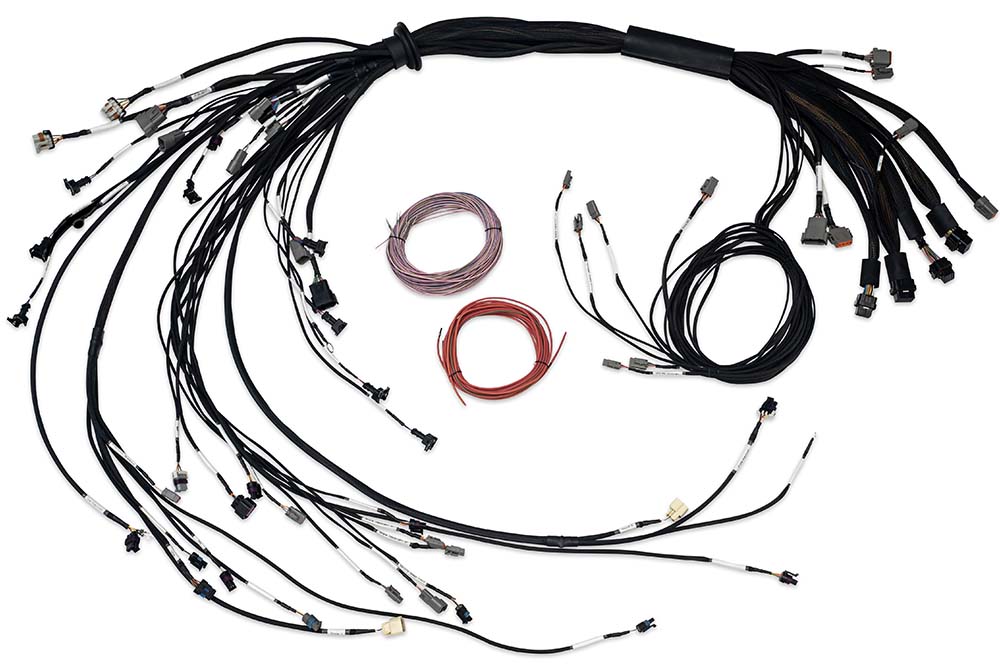 Nexus R5 LSx Non DBW Terminated Harness - HT-186206