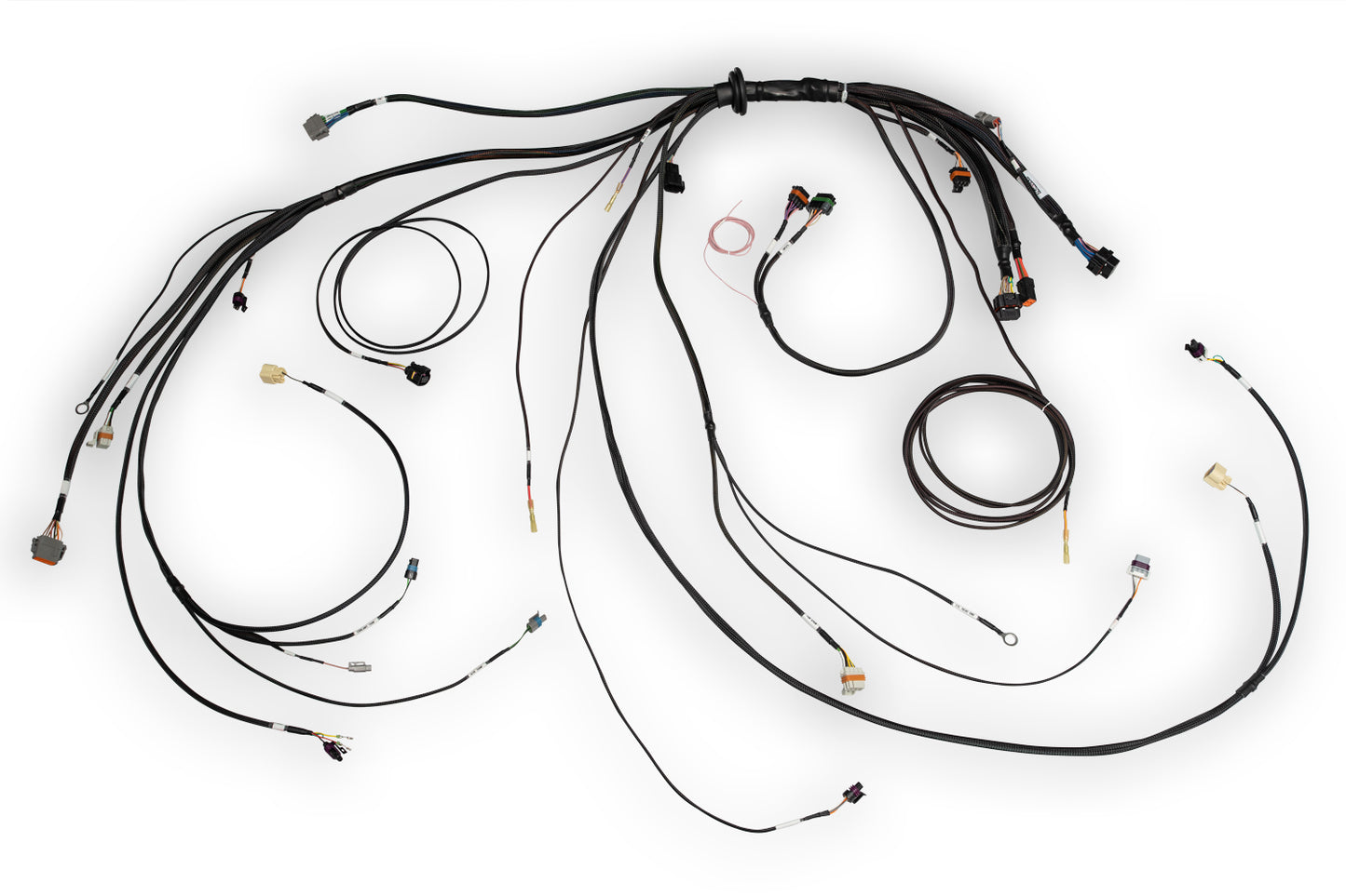 Nexus Rebel LS Terminated Harness for Nexus Rebel LS ECU - HT-186500