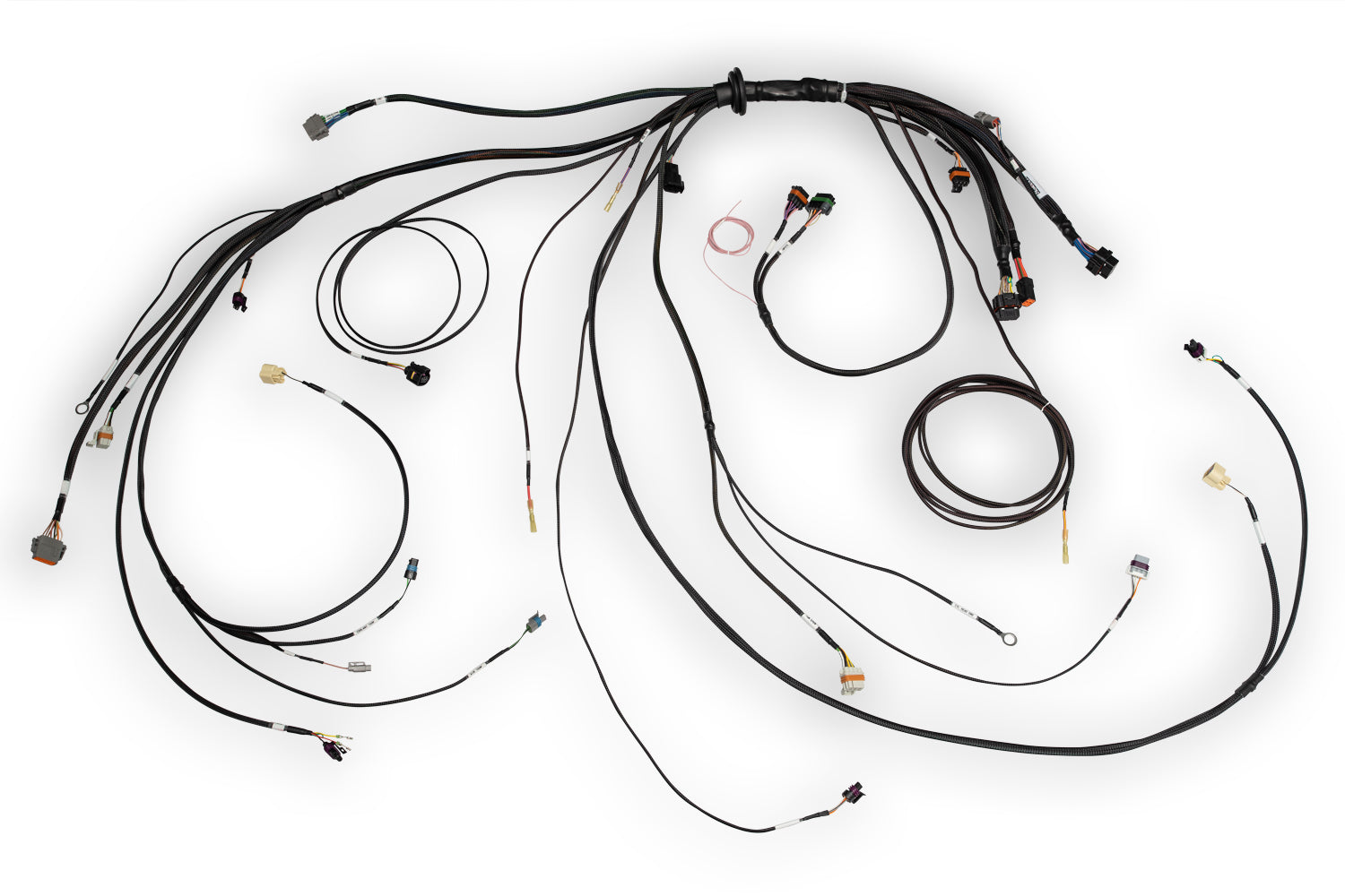 Nexus Rebel LS Terminated Harness for Nexus Rebel LS ECU - HT-186500