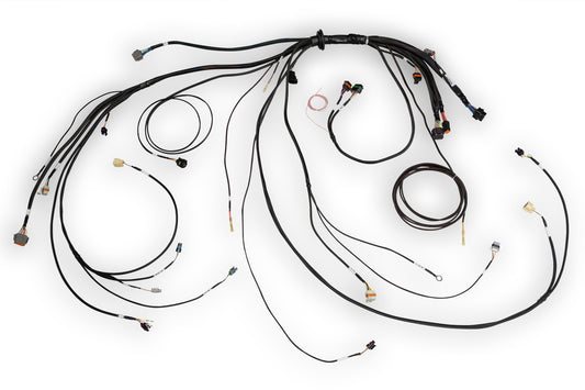 Nexus Rebel LS Terminated Harness for Nexus Rebel LS ECU - HT-186500